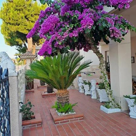 Bouganville Casa Vacanza Ambiente Climatizzato Con Wi Fi Pineto Exterior photo