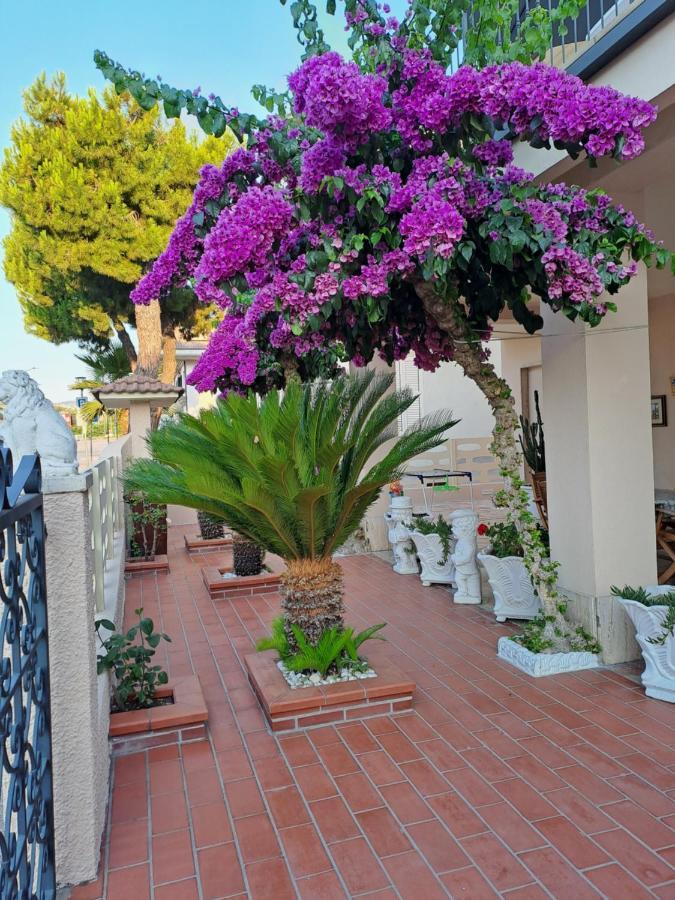 Bouganville Casa Ambiente Climatizzato Con Wi Fi *