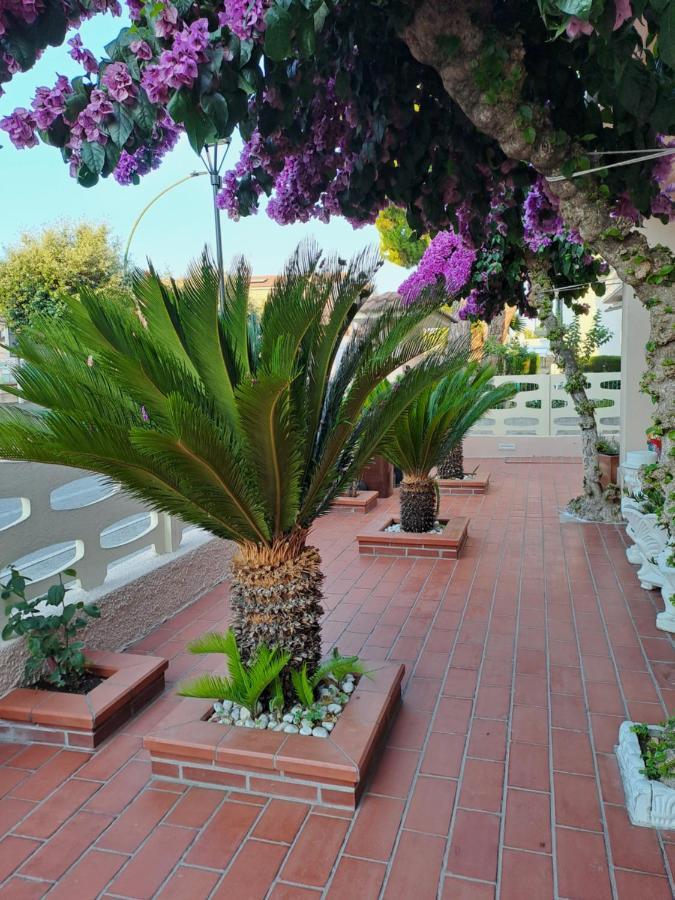 Apartment Bouganville Casa Ambiente Climatizzato Con Wi Fi *
